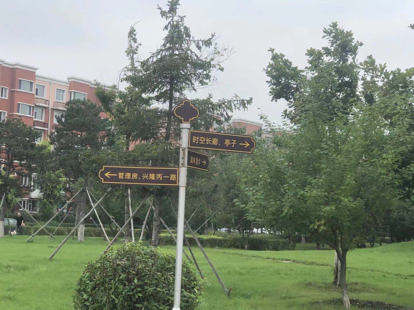 中山公园改造后效果图,中山公园升级改造后美翻了