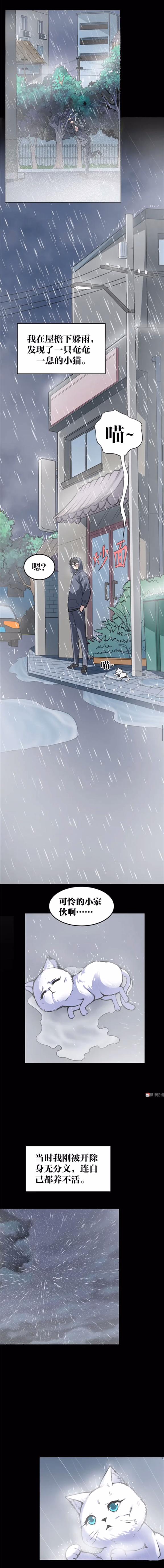 猫咪拟人化漫画,天秤座漫画猫咪