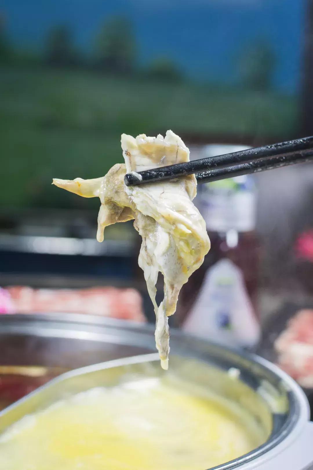 日式河豚火锅,青岛吃河豚火锅