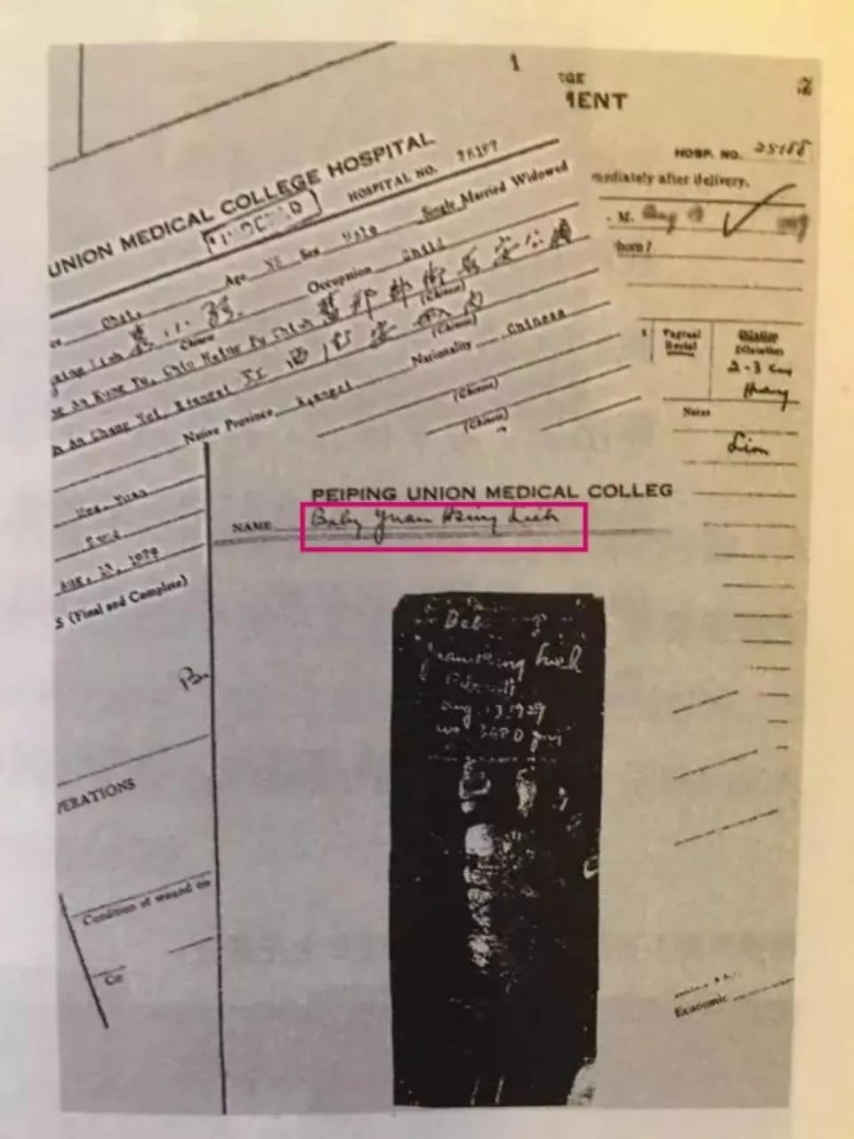 突破粮食“卡脖子”，“神农”袁隆平，职校教师如何喂饱中国人？