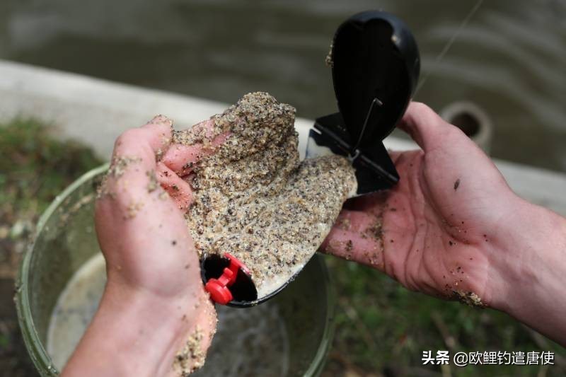 话说欧鲤钓之科学篇,欧鲤钓知识讲解