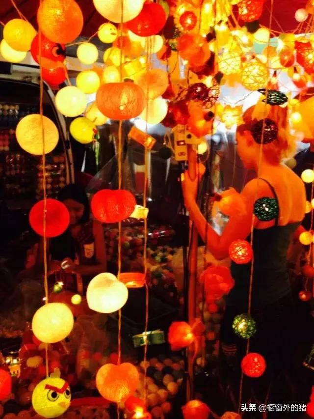 泰北玫瑰的英文,泰北玫瑰图片