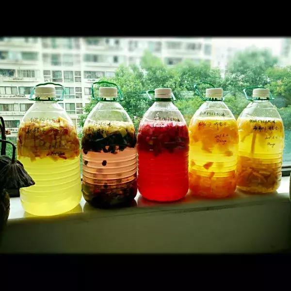 橘子皮切碎了丢瓶里，秒变大肥王，绿萝吃了疯长10米！