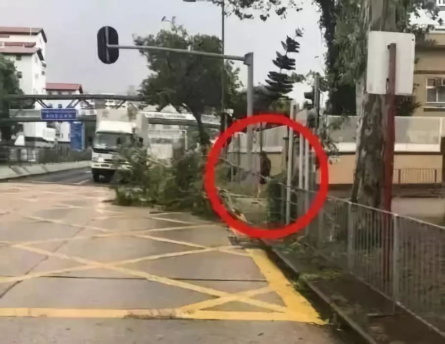 182的身高，迷人的微笑。一等的人品，一等的演技。他就是发哥