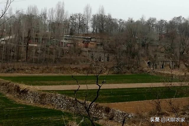 有人要给我投资我应不应该接受,有人要买我家耕地违法吗