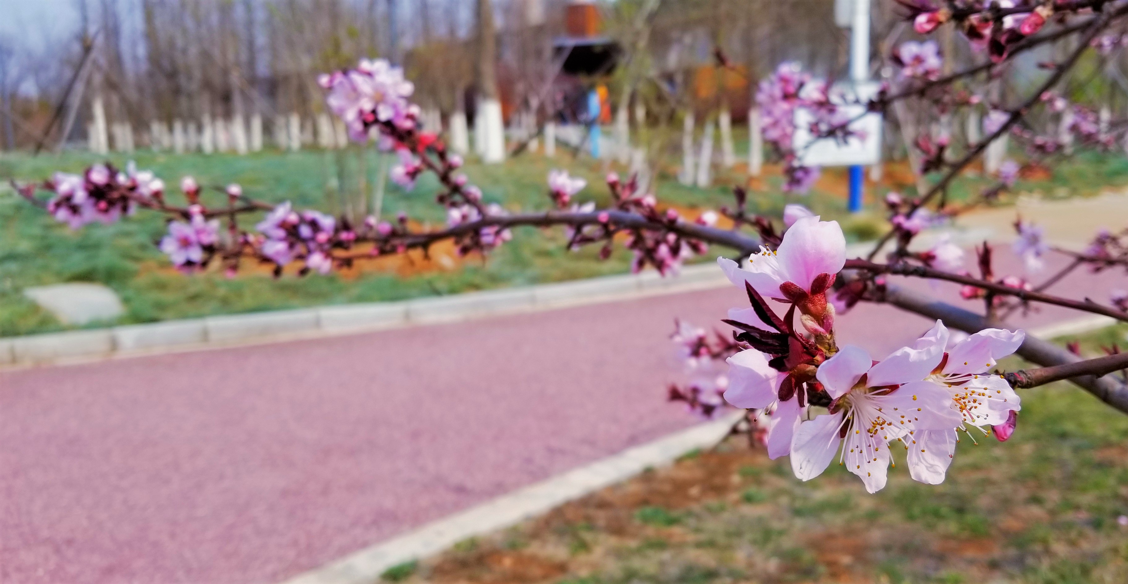 景美人少公园,景美人少适合去哪里旅游