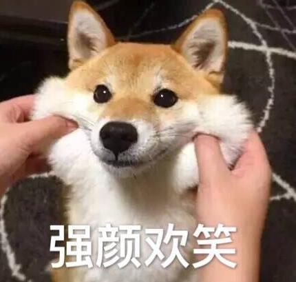 哈士奇烧钱吗,哈士奇公认最纯的狗