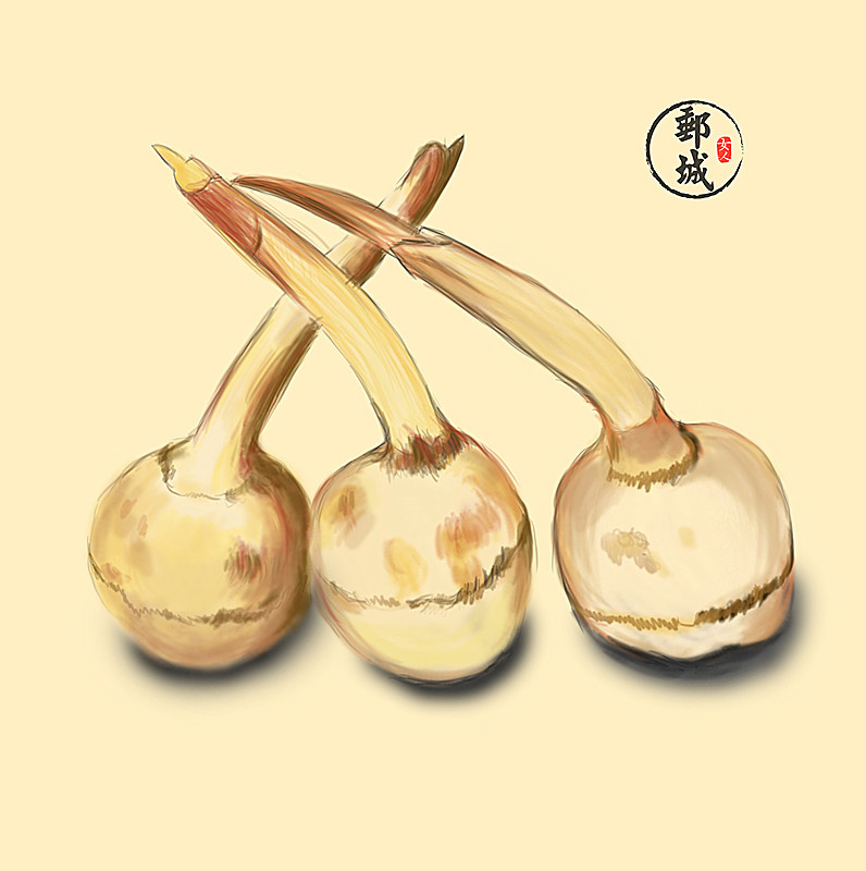 马棚茨菇,高邮大茨菇