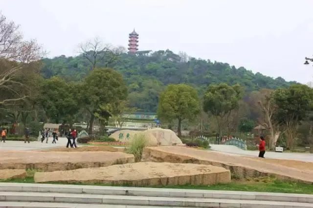 走进十大名山之天目山,松江这五座山你攀登过几处