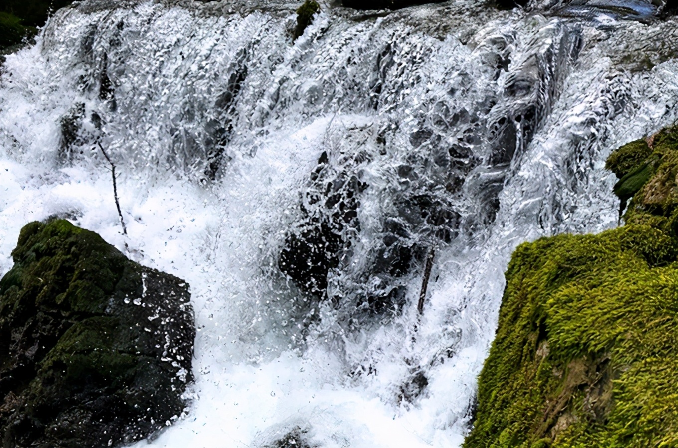 茂兰喀斯特原始森林徒步穿越,茂兰喀斯特森林之旅