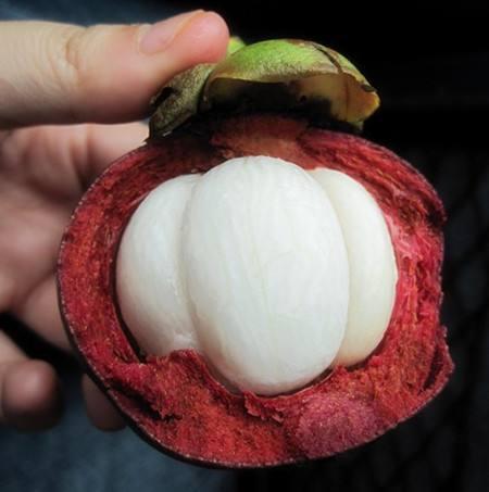 怎么挑选多肉山竹果实,山竹怎么选肉多无籽的