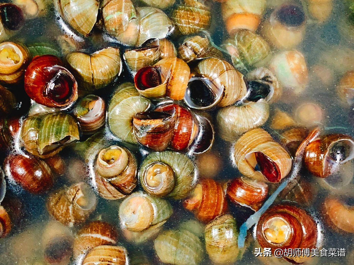 田螺洗出来水绿色,田螺洗干净后还是沙沙的