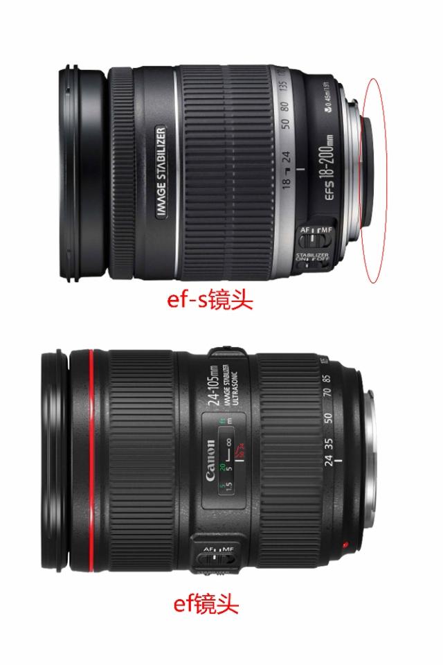 佳能半幅相机配什么变焦镜头最好,佳能相机入门单反配置推荐