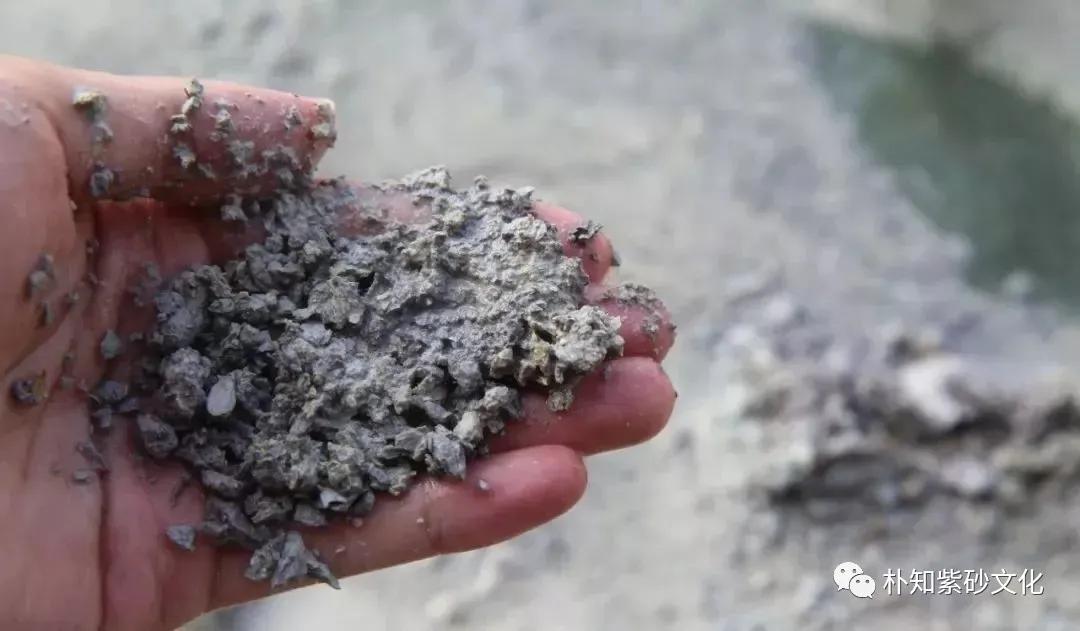 本山绿最简单的鉴别,本山绿优缺点