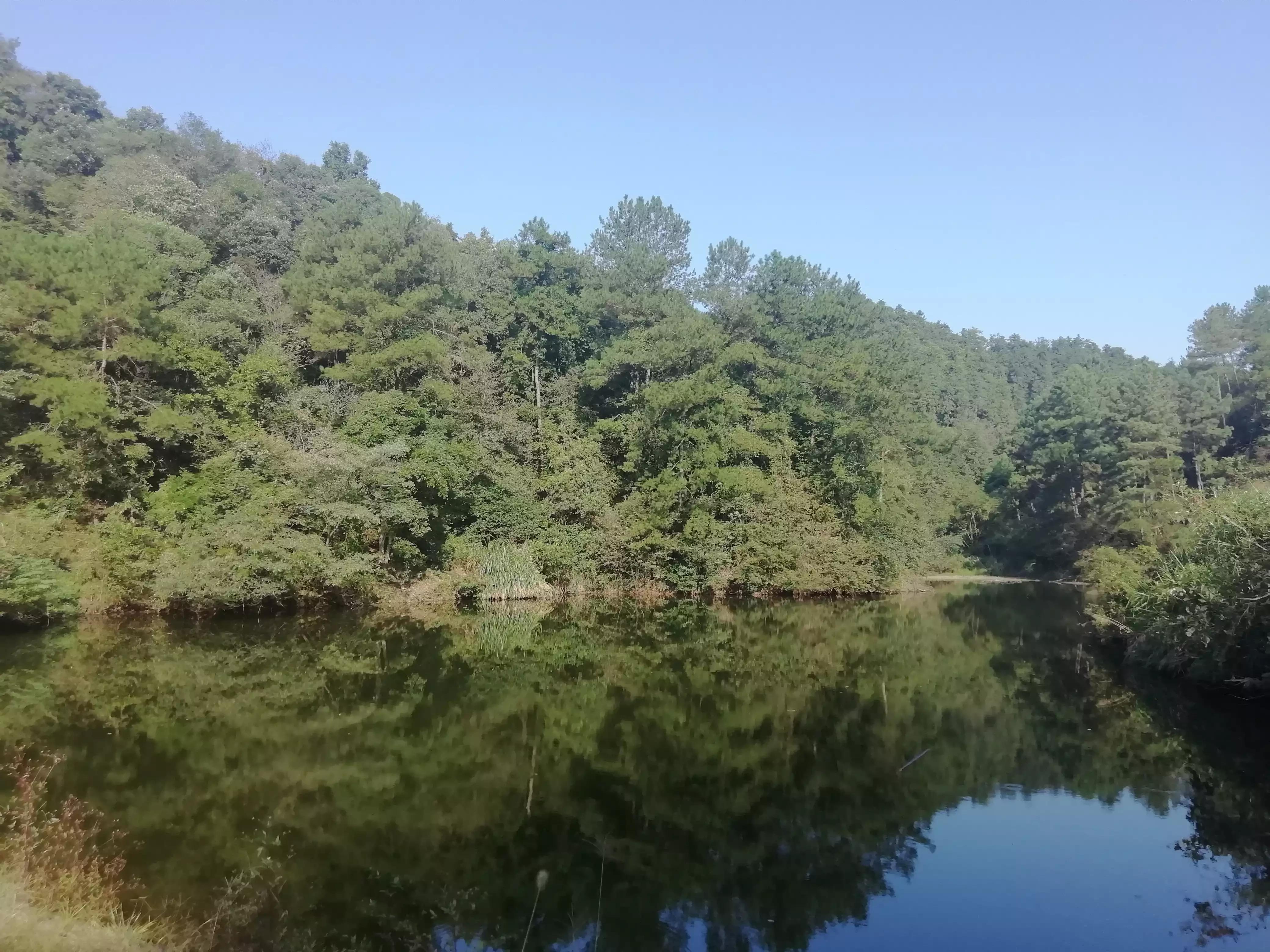 怎么样获得真正的自由?