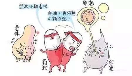 试管婴儿的关键步骤——降调、促排