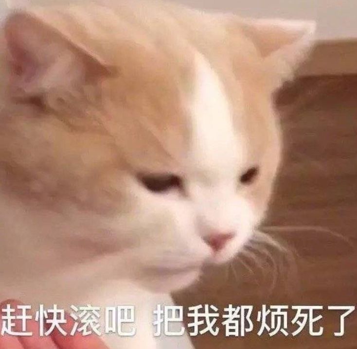 罗永浩手机发布会王者荣耀,罗永浩点评王者荣耀