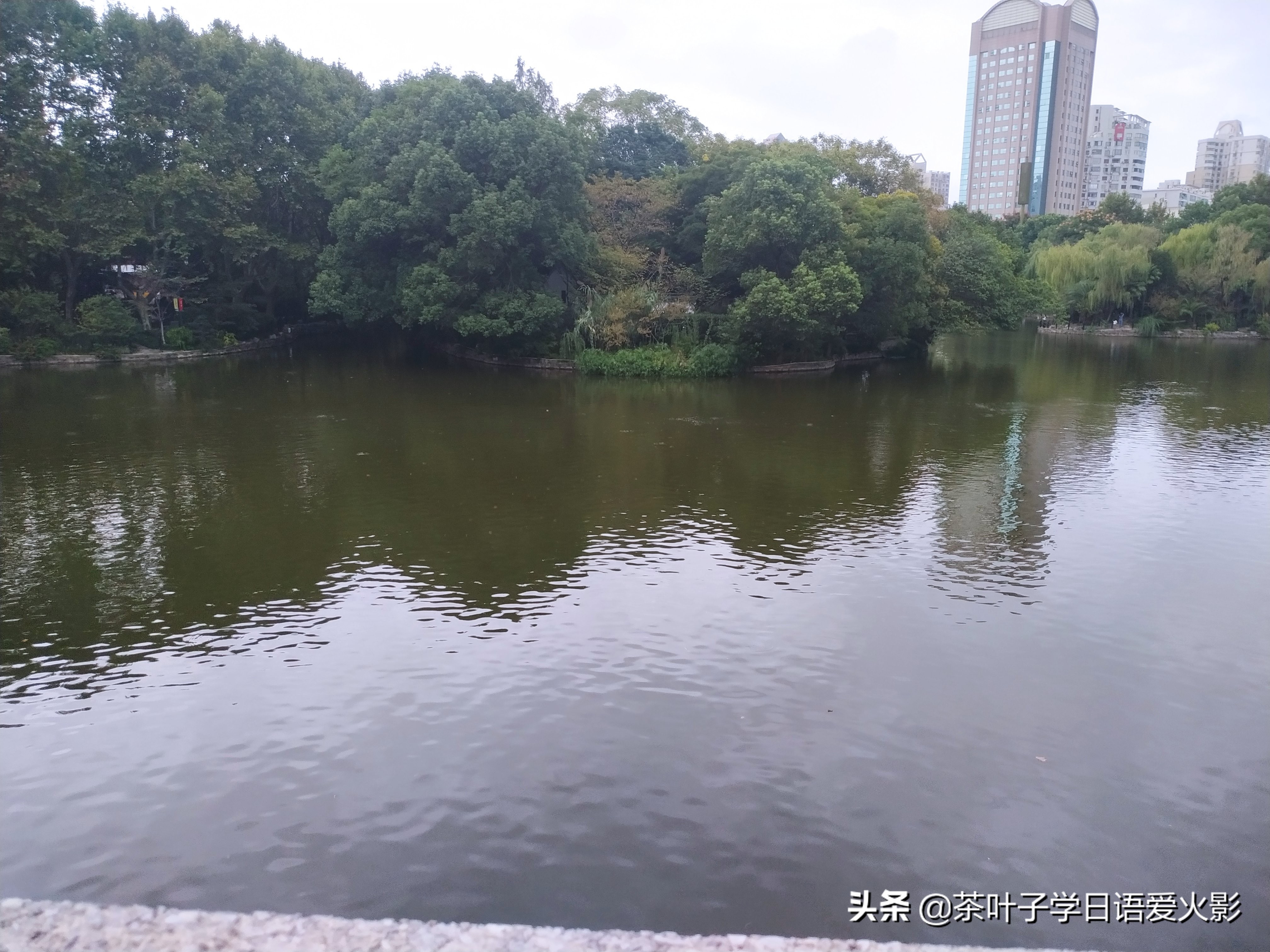 上海甜爱路，打卡不要错过哦，还有鲁迅公园