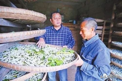 洗脚上岸,洗脚上岸读历史