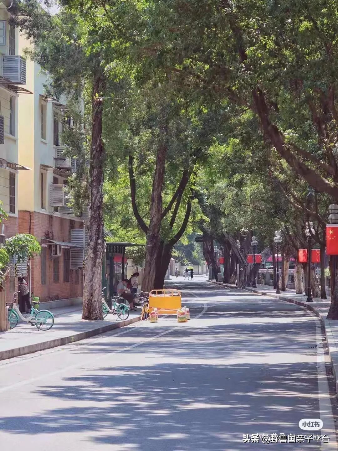 广州遛娃出游,广州遛娃3-4天攻略