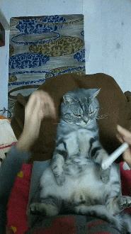 “兄弟睡觉压得胳膊都变色了，要不要叫醒他？”醒来一定很酸爽