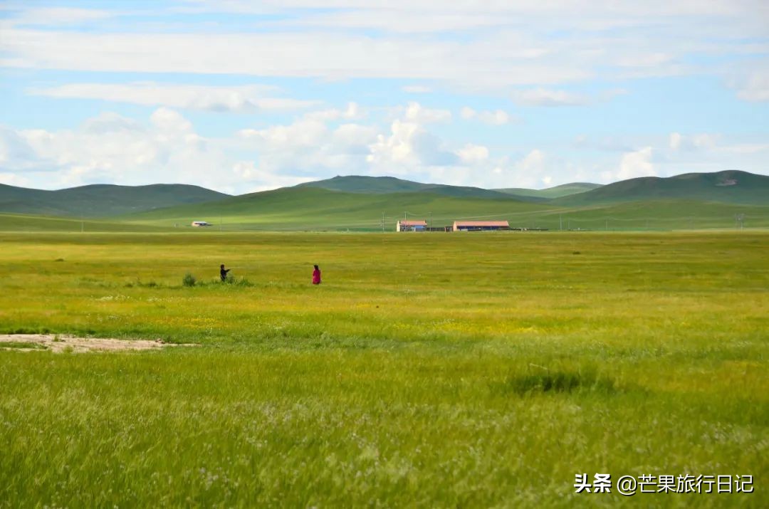 带妈妈旅游去西藏,带妈妈去内蒙