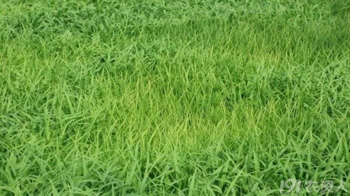 绉ц嫍鍙楀喎绌烘皵褰卞搷鍐诲潖鎬庢牱瑙e喅,闃叉绉ц嫍鍙楀喕搴旇鎬庝箞鐏屾按