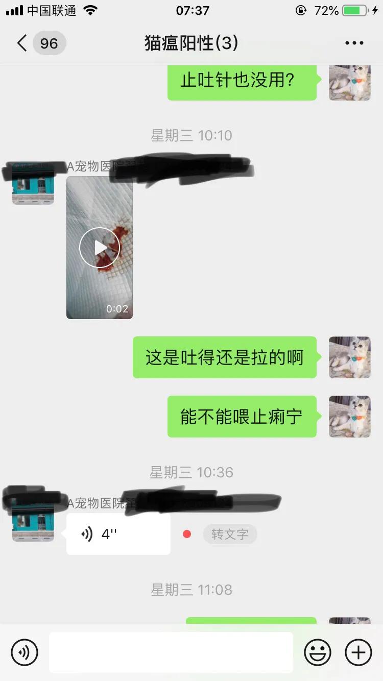 爆发猫瘟,猫瘟日常