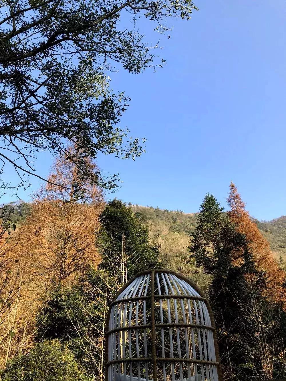 青城山隐居民宿幽悟原宿,睡进乡野民宿