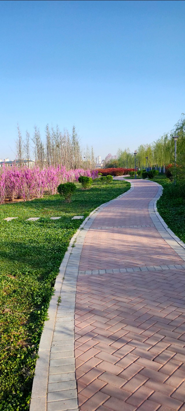 鲍山花园可以游玩的地方,鲍山公园跑步