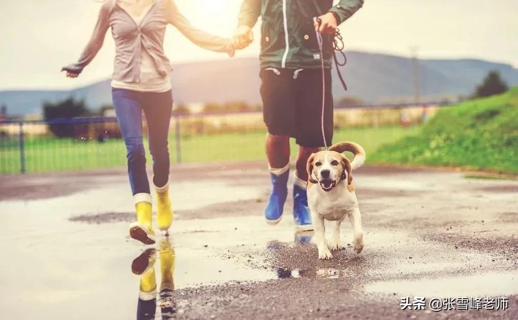 我在精神病院抗抑郁内容,在精神病院抗抑郁