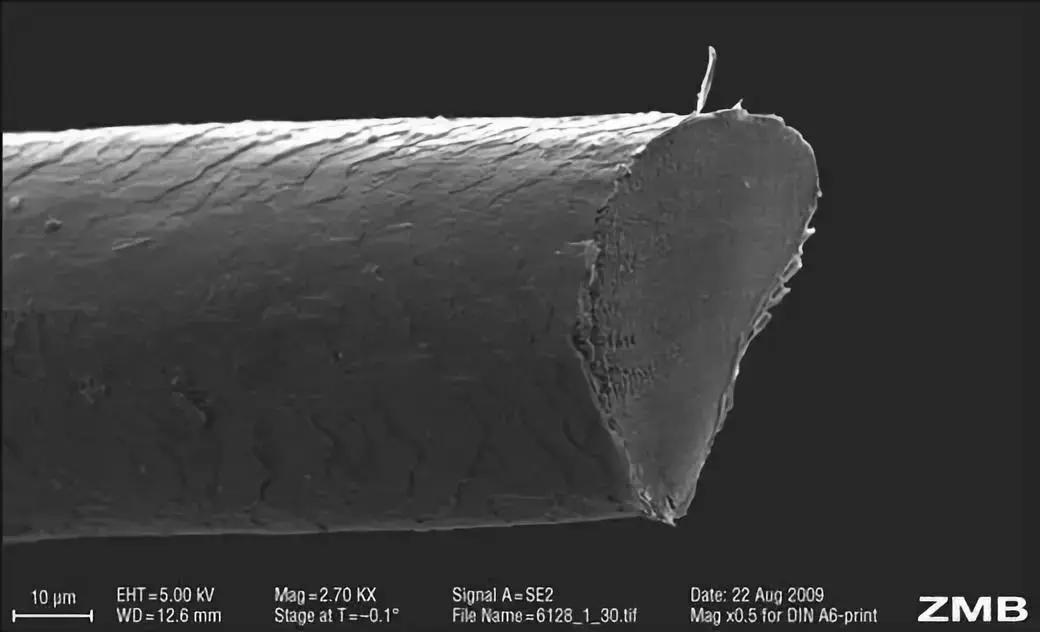 你花几千块烫别人天生的一头金发大波浪，头发究竟怎么长的
