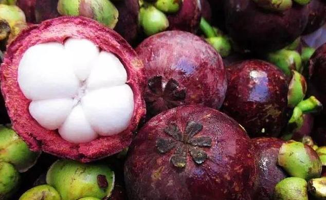 山竹怎么挑选公母,山竹怎么挑选果核少的