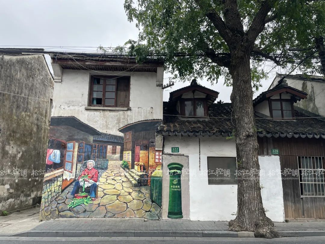 松江佘山辰山植物园一日游攻略,松江方塔园哪好玩