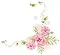 今日份推荐-天下无“痱”的贝亲桃子水