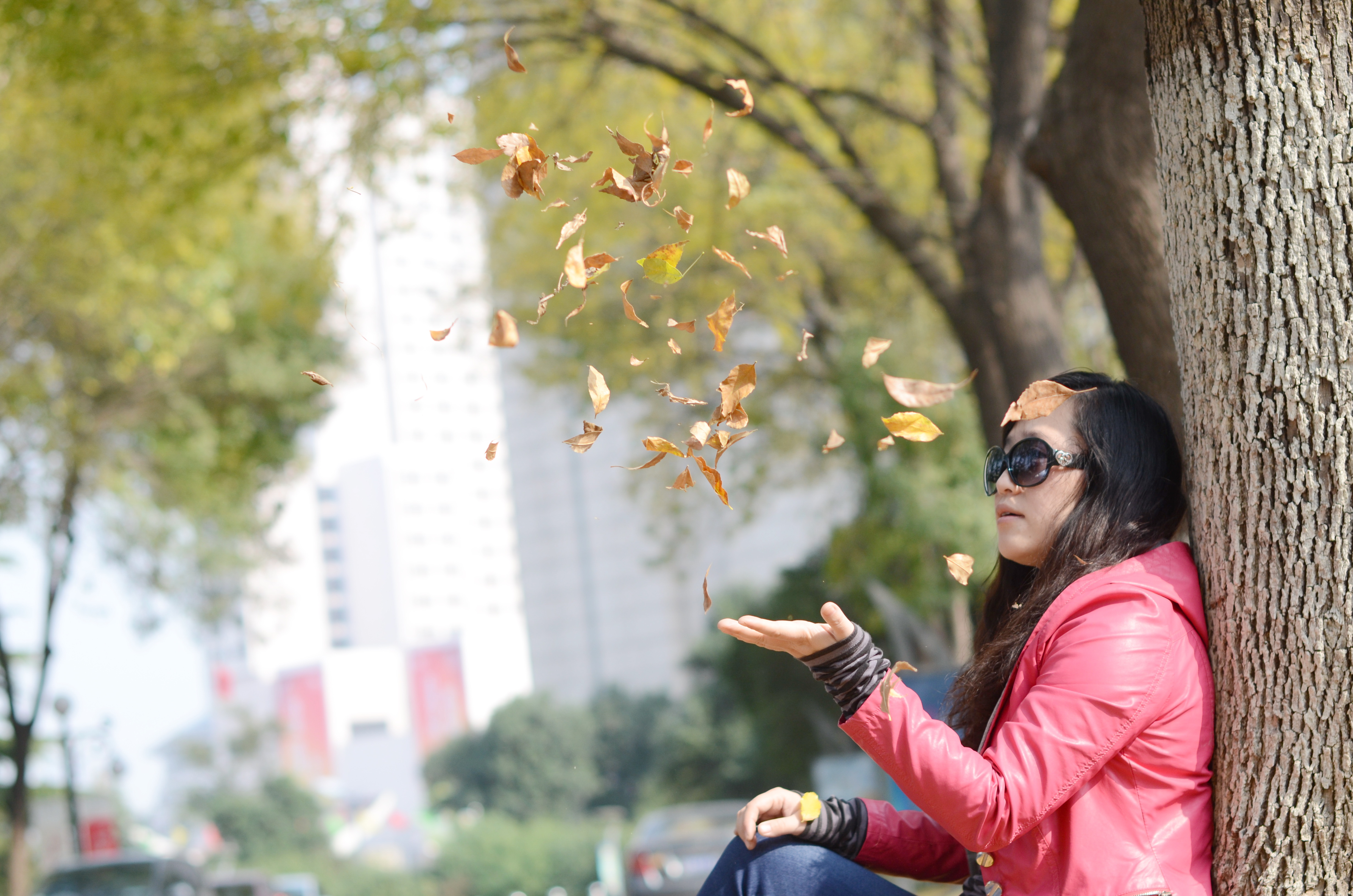 南郊美美,南郊宾馆的风景