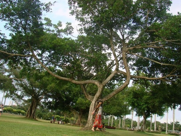 一个人在海边玩一天,一个人在海边怎么玩