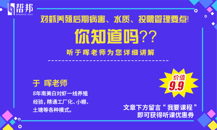 南美白对虾养殖什么阶段加海水,低温冬棚如何养殖南美白对虾