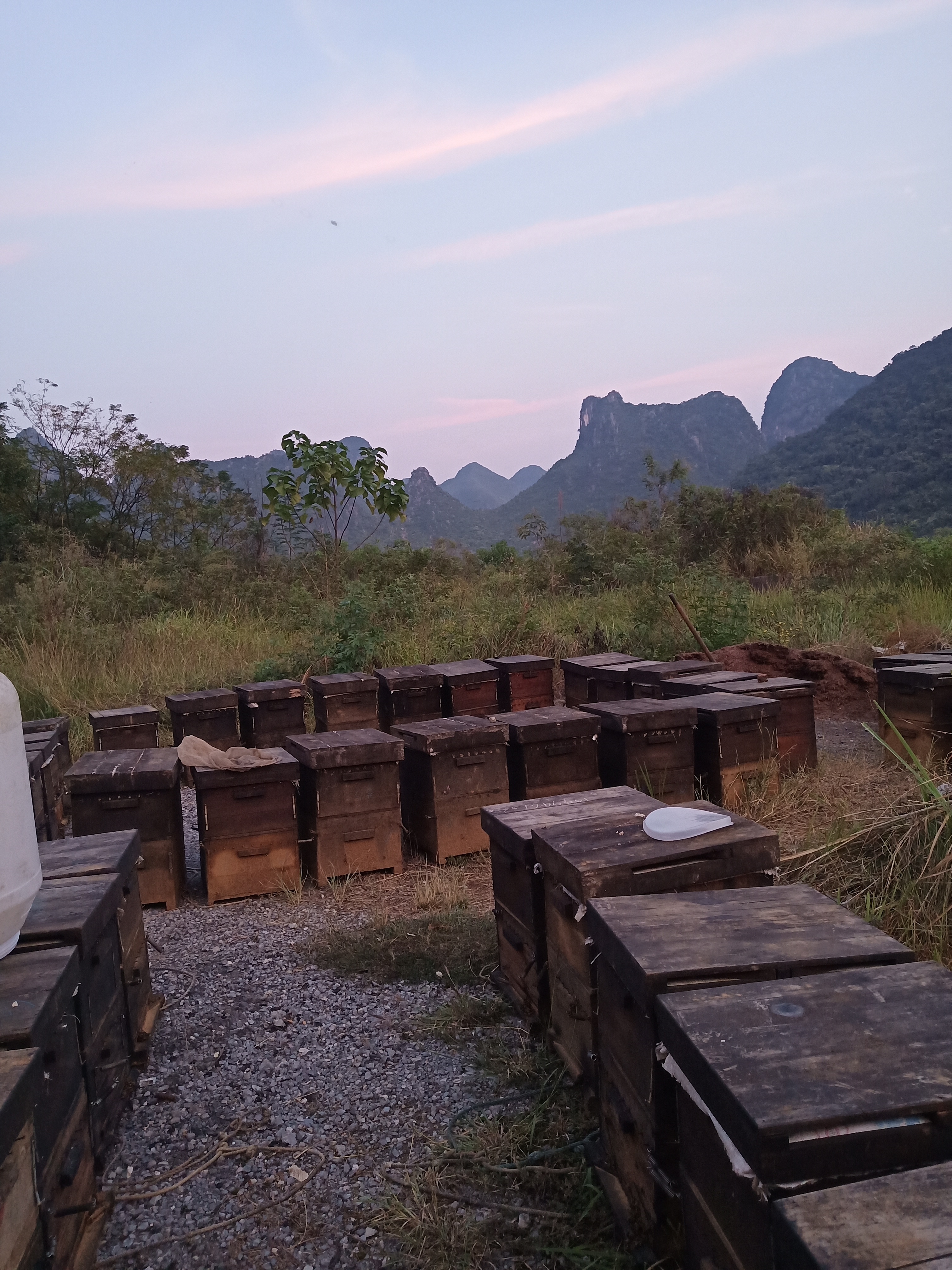 有啵农场——快来看看你没吃过的桂林特有蜜