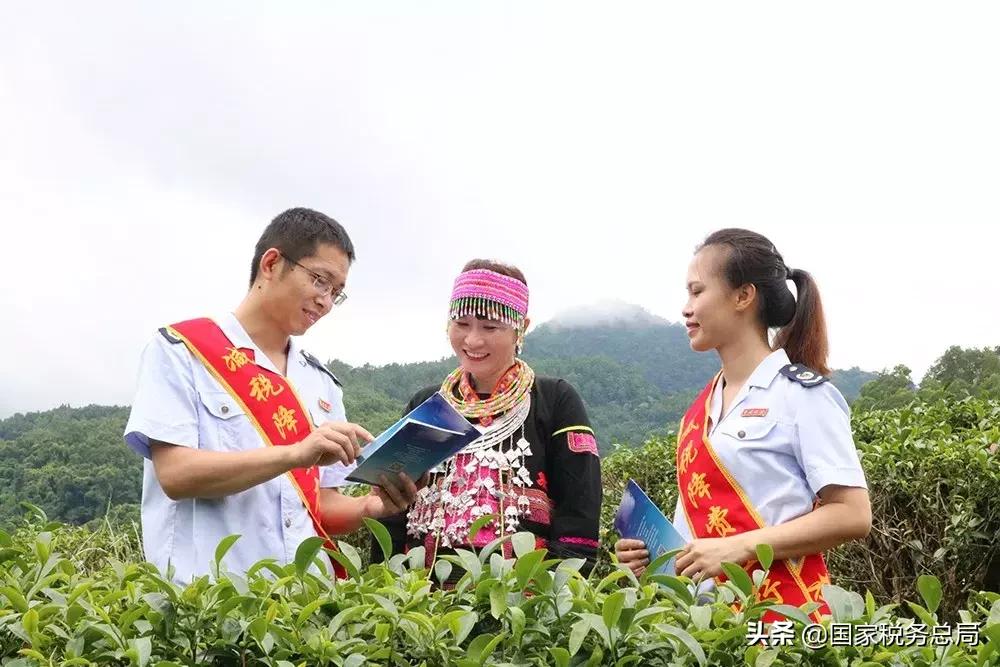 税务总局各地挂牌,新税务机构挂牌一周年回眸