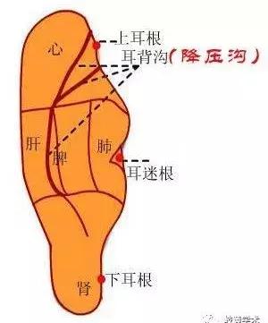 恶心干呕穴位按压法,常见疾病穴位搭配一览表