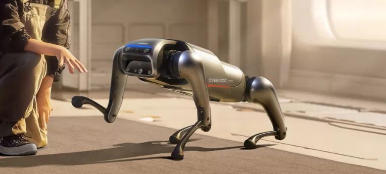 进击的机器人,进击的机械狗在哪里