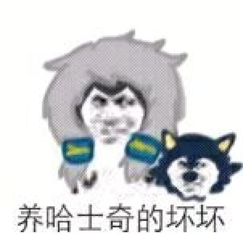 王者荣耀kplag夺冠解说,王者荣耀kplag被零封