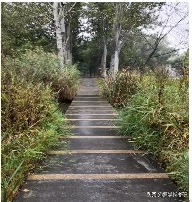 郑大研究生新生攻略,研究生期间印象深刻的事情