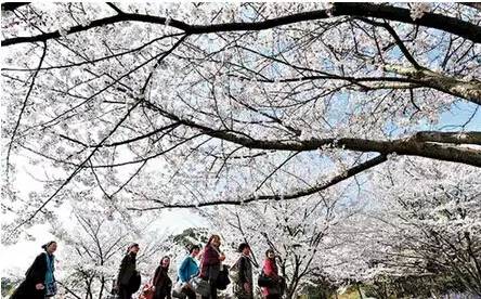 2020年婚纱照风格苏州,苏州婚纱照性价比高的推荐