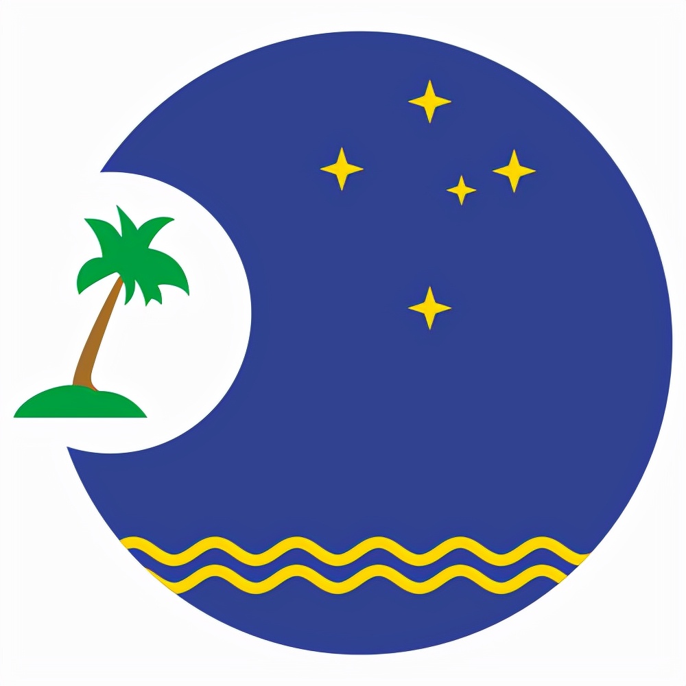 世界组织旗帜大全,国际组织的标志大全