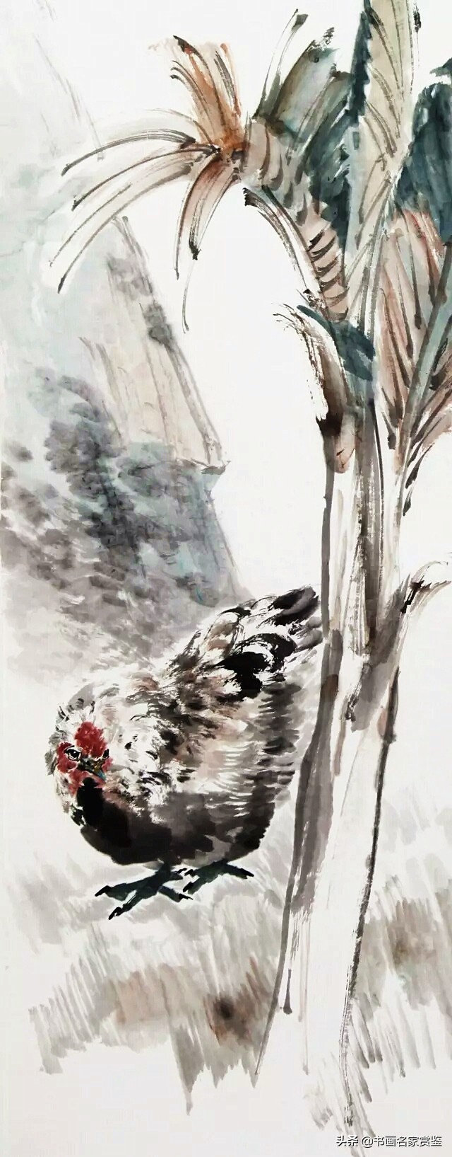 尽日高斋无一事，芭蕉叶上独题诗——一枝蕉叶祝夏安