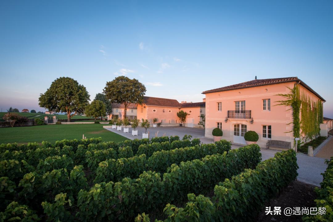 奢侈名酒葡萄酒,奢侈级别红酒