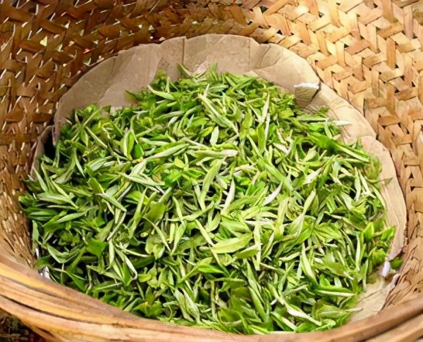 浙东茗茶,浙江宁波四明山白茶怎么样