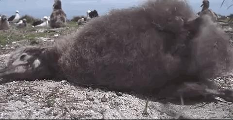 彭于晏苏有朋,彭于晏和苏有朋